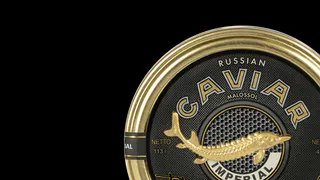 Какая бывает черная икра: виды, вкус и отличия