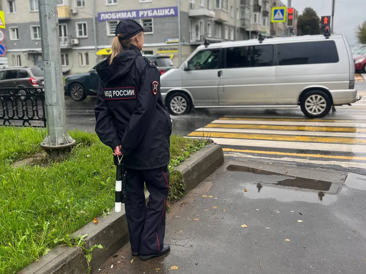 Житель Татарстана, сбивший насмерть пенсионерку в Чувашии, пойдет под суд