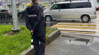 Житель Татарстана, сбивший насмерть пенсионерку в Чувашии, пойдет под суд