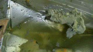 Плесень вместо яблока: рязанка жалуется на некачественный детский сок в местной “Пятерочке”