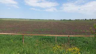В Рязанской области ожидают урожай зерновых в объеме трех миллионов тонн
