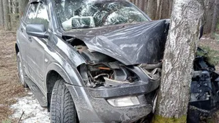В Путятинском районе женщина за рулем вылетела с трассы и въехала в два дерева 