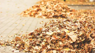 Коммунальщики в Рязани начнут работать по новым правилам