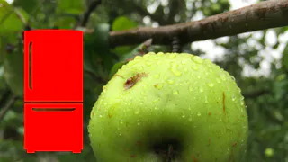 Техника для сбора и хранения вашего урожая со скидкой 30%