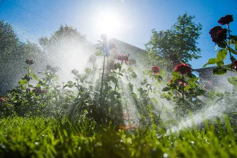 Метеорологи обновили прогноз: какая погода ждёт россиян до конца августа