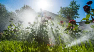 Метеорологи обновили прогноз: какая погода ждёт россиян до конца августа