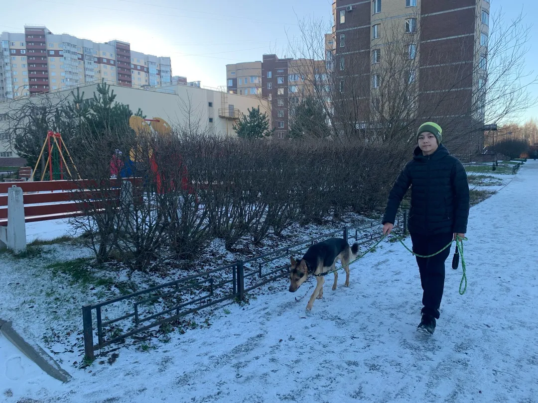 «Погода в январе и феврале сойдёт с ума». Синоптики предупредили жителей страны, к чему готовиться