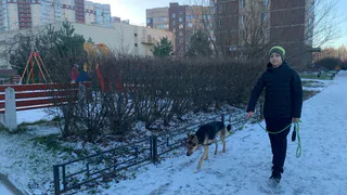 «Погода в январе и феврале сойдёт с ума». Синоптики предупредили жителей страны, к чему готовиться