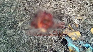 Расчленение в Скопине: новые подробности дела