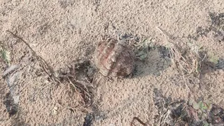 Под Рязанью нашли осколочную гранату