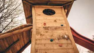 Распил сосны: в лесопарке Рязани появится горка за 800 тысяч рублей