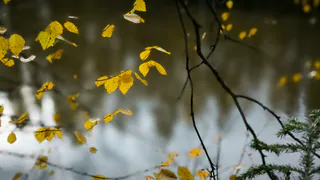 Чувашию ожидают дожди и заморозки 28 сентября