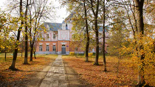 Старинный замок помещика Охотникова в Пачелмском районе включен в Единый госреестр объектов культурного наследия