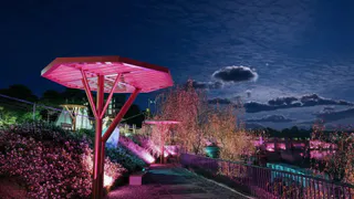 «Зелёный сад - наш дом» стал победителем Национальной премии «Лидеры ответственного бизнеса»