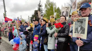 Владимирцам рассказали, как можно онлайн поучаствовать в Бессмертном полку