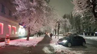 Аномальные заморозки упадут на Центральную Россию: синоптики назвали точную дату