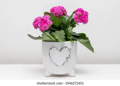 Необычные, но запоминающиеся подарки учителям на 1 сентября