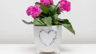 Необычные, но запоминающиеся подарки учителям на 1 сентября