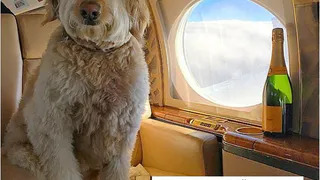 Нижнекамцы смогут заработать на отходах