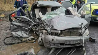 Под Рязанью фура смяла легковушку