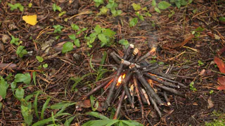 Весенняя охота: рязанские росгвардейцы будут ловить нарушителей