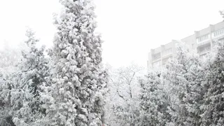 В праздничные выходные пять рязанцев обратились в ОКБ с обморожением