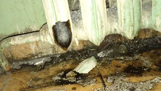 «Отвалился кусок от батареи, на этаже лужа, а внутри батареи - лед»