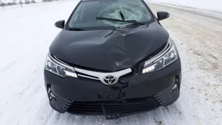 Под Рязанью водитель автомобиля "Тойота" насмерть сбил пешехода