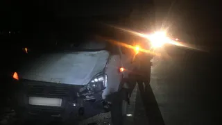 Скончался на месте: под Рязанью “ГАЗель” насмерть сбила пешехода