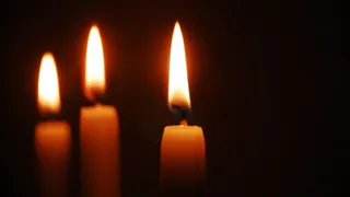 В доме под Брянском обнаружены три трупа