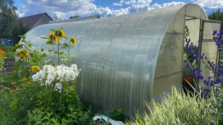 Муж хочет поставить на участке огромную теплицу, а я против, ведь столько лет облагораживала нашу дачу