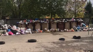 Вот, куда они деваются: рязанец украл 7 мусорных баков