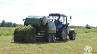 В Коми из-за непогоды затопило картофельные поля