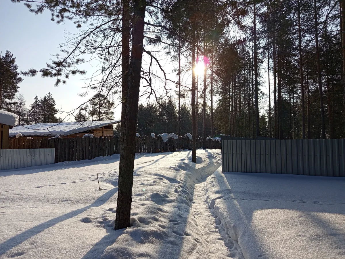 "С 1 июня начнётся то, чего не происходило с 1938 года". Синоптики сказали, что придет