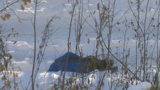 В Перми девушка почти час пролежала в снегу, а прохожие равнодушно проходили мимо