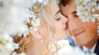 В Брянске сократилось количество свадеб