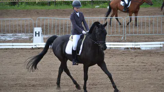 В Коми завершились соревнования по выездке: названы имена победителей
