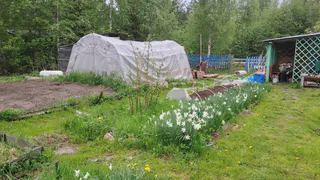 Дачники сходят с ума от этой гениальной идеи: соседка забрала все наши 5-литровые бутылки и сильно сэкономила