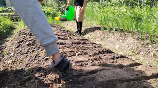 Грядка после чеснока — золотая жила: 3 культуры, которые успевают созреть до осенних холодов