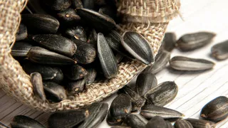 Челябинские семечки завоевали мир: Южный Урал расширяет экспорт и ищет новые рынки