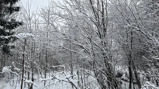 Сильные снегопады и гололед: синоптики рассказали о погоде в Челябинской области на 10 февраля