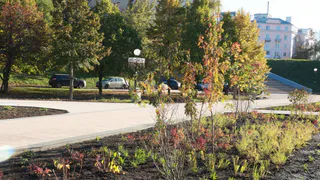 Сорокина призвала горожан обсудить проект озеленения Рязани