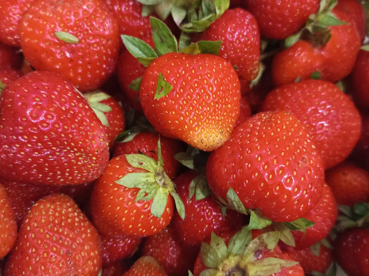 Решилась поехать на финское "клубничное рабство" - вот как все прошло на самом деле. Честный отзыв россиянки