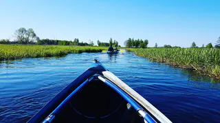 Во время сплава по реке Серёжа на байдарках 1 мая погиб житель Рязани