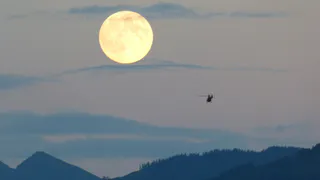 В Коми санитарной авиацией за полгода спасли 819 пациентов