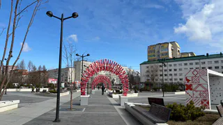 В Коми растет число арктических резидентов, несмотря на «текучку»