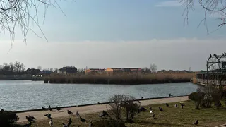 Главный синоптик России рассказывает о приходе аномальной жары: Вильфанд дал сроки