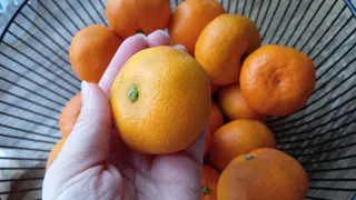 Продавцы знают, а мы нет: простой способ по кожуре выбрать только сладкие мандарины и не нарваться на кислые