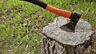 В Челябинской области мужчина убил свою сожительницу топором на 8 Марта