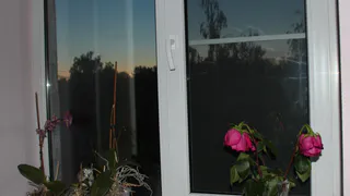 «Специалисты оперативно установили мне окна»